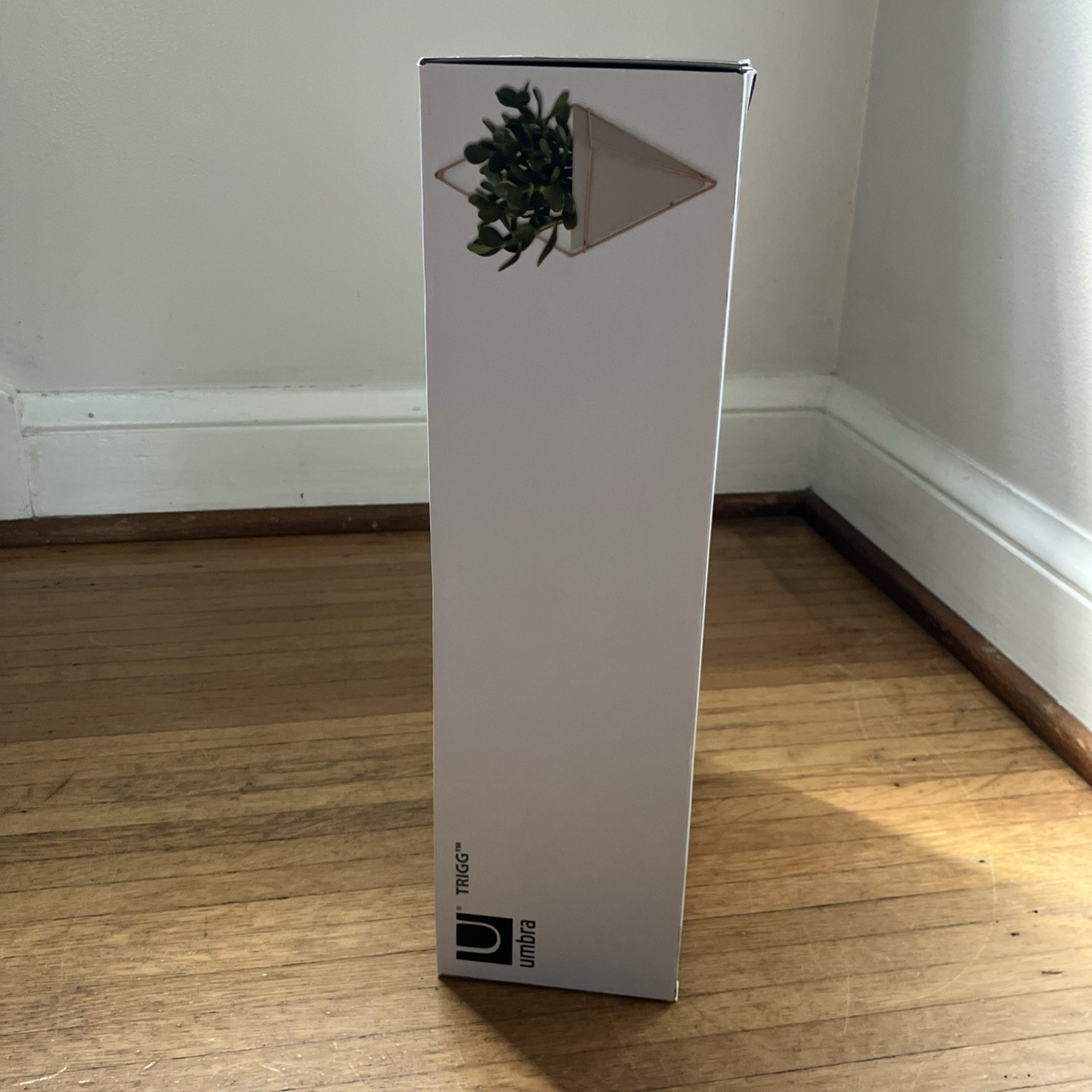 Umbra Trigg Hang Planter White Vase Gold Brass Geometric Wall Decor Ceramic