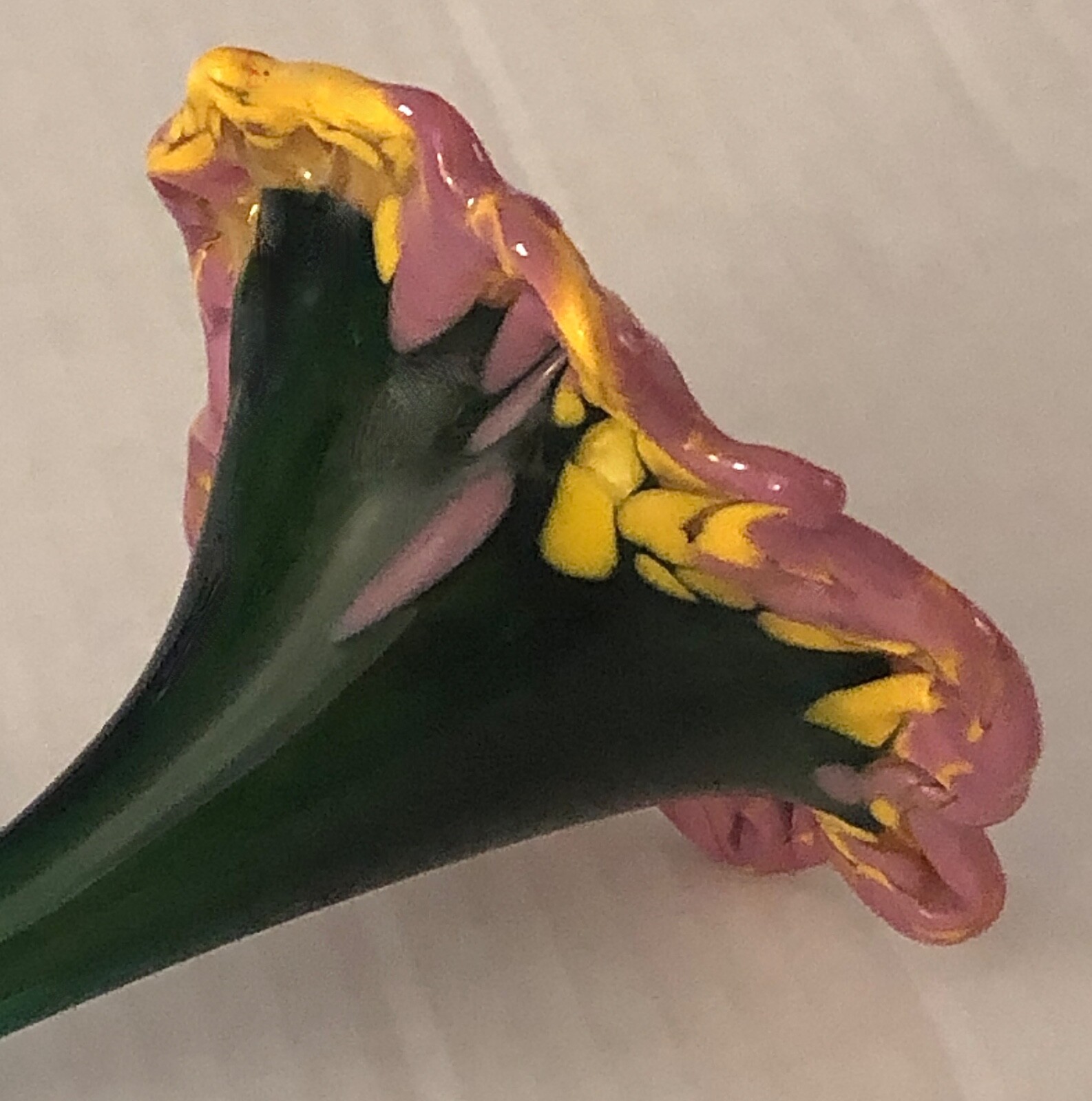 Murano Style Hand Blown 13 3/4″ Mauve/Pink Angel’s Trumpet Art Glass Flower