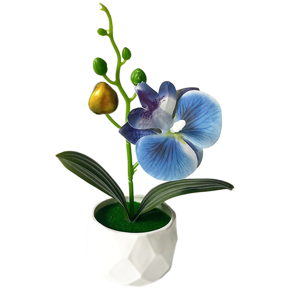 Phalaenopsis Floral Reproduction in Diamond Designed Pot for Contemporary Space
