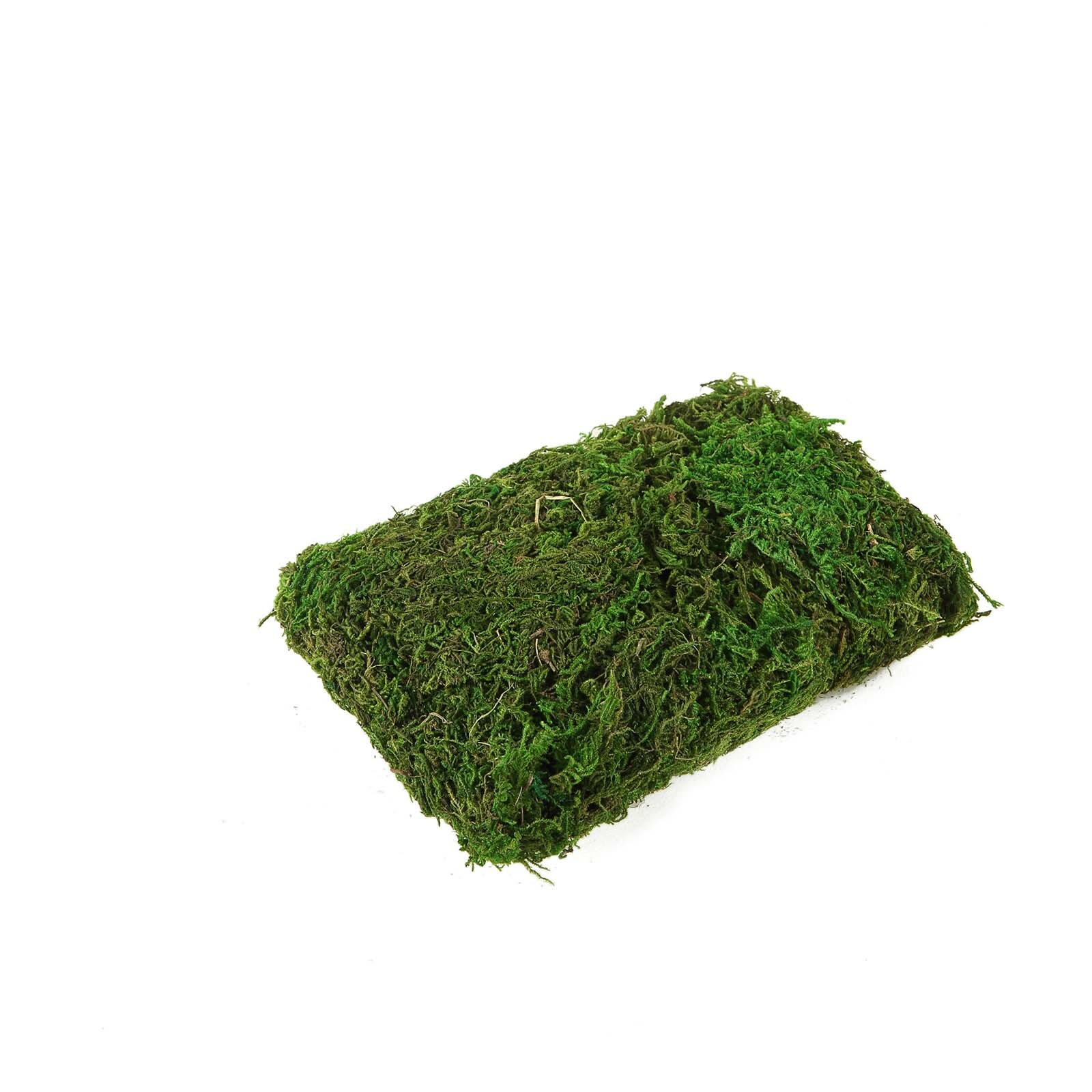 50 grams Green Natural Reindeer Moss Vase Fillers Wedding Party Decorations Sale