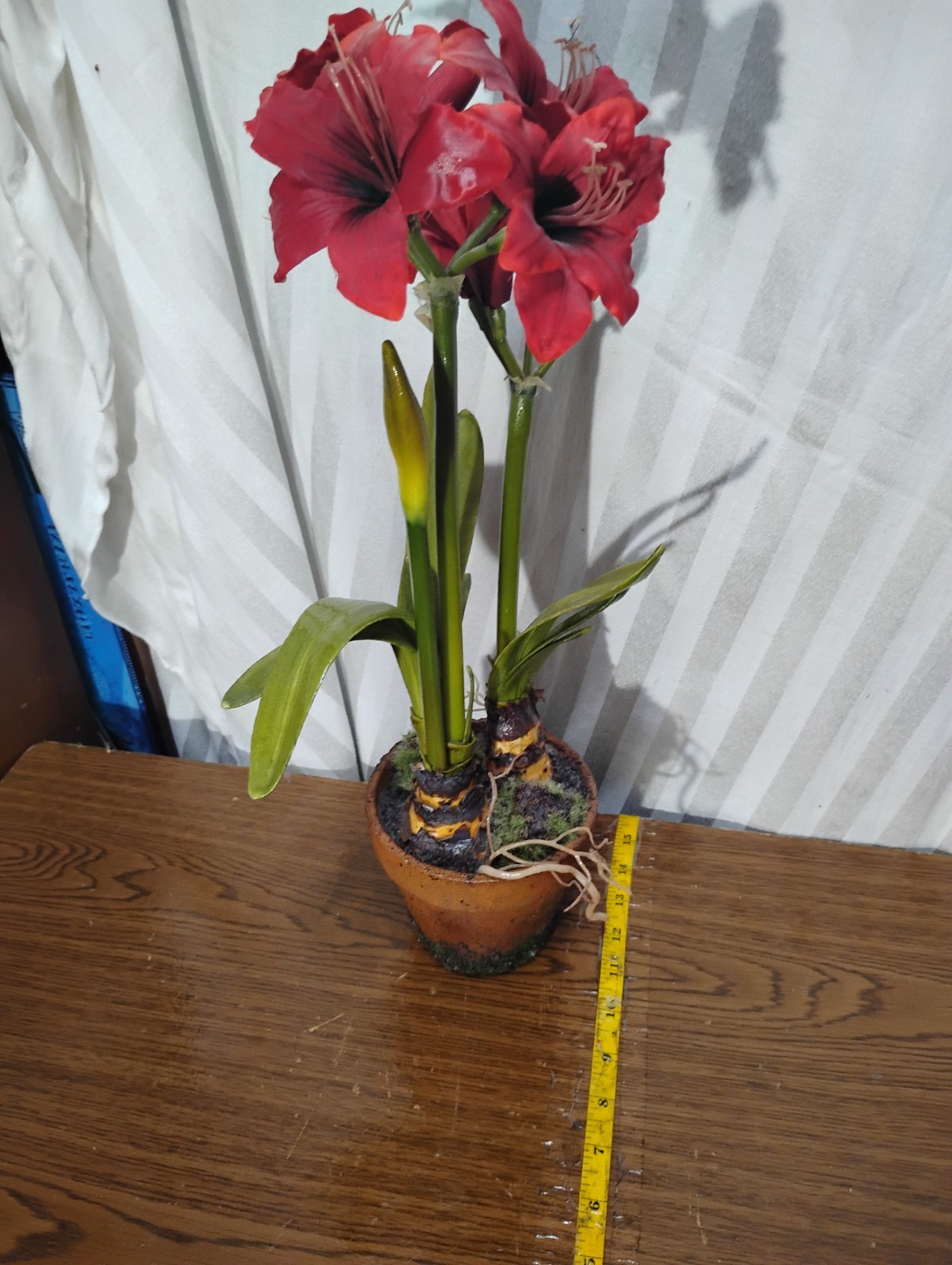 Amaryllis Collection Stunning Silhouette Flowee Faux-Floral Arrangement Lifelike