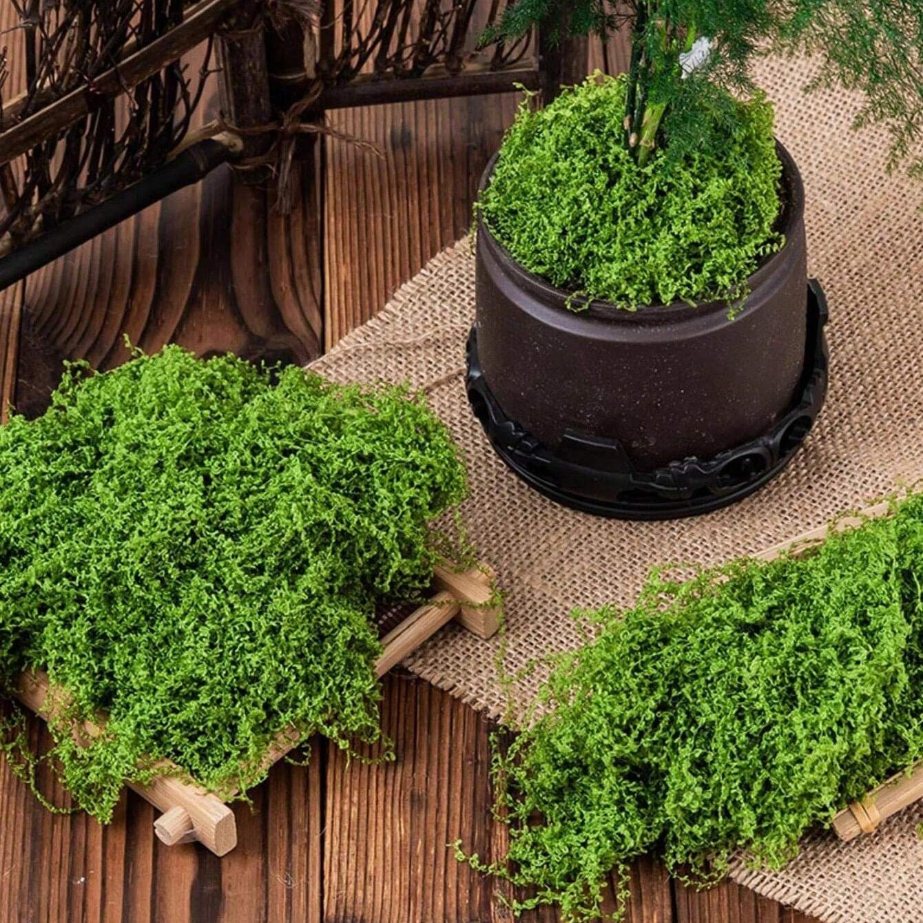 300g Artificial Moss Fake Green Plant Simulation Grass Centerpiece Decor For DIY