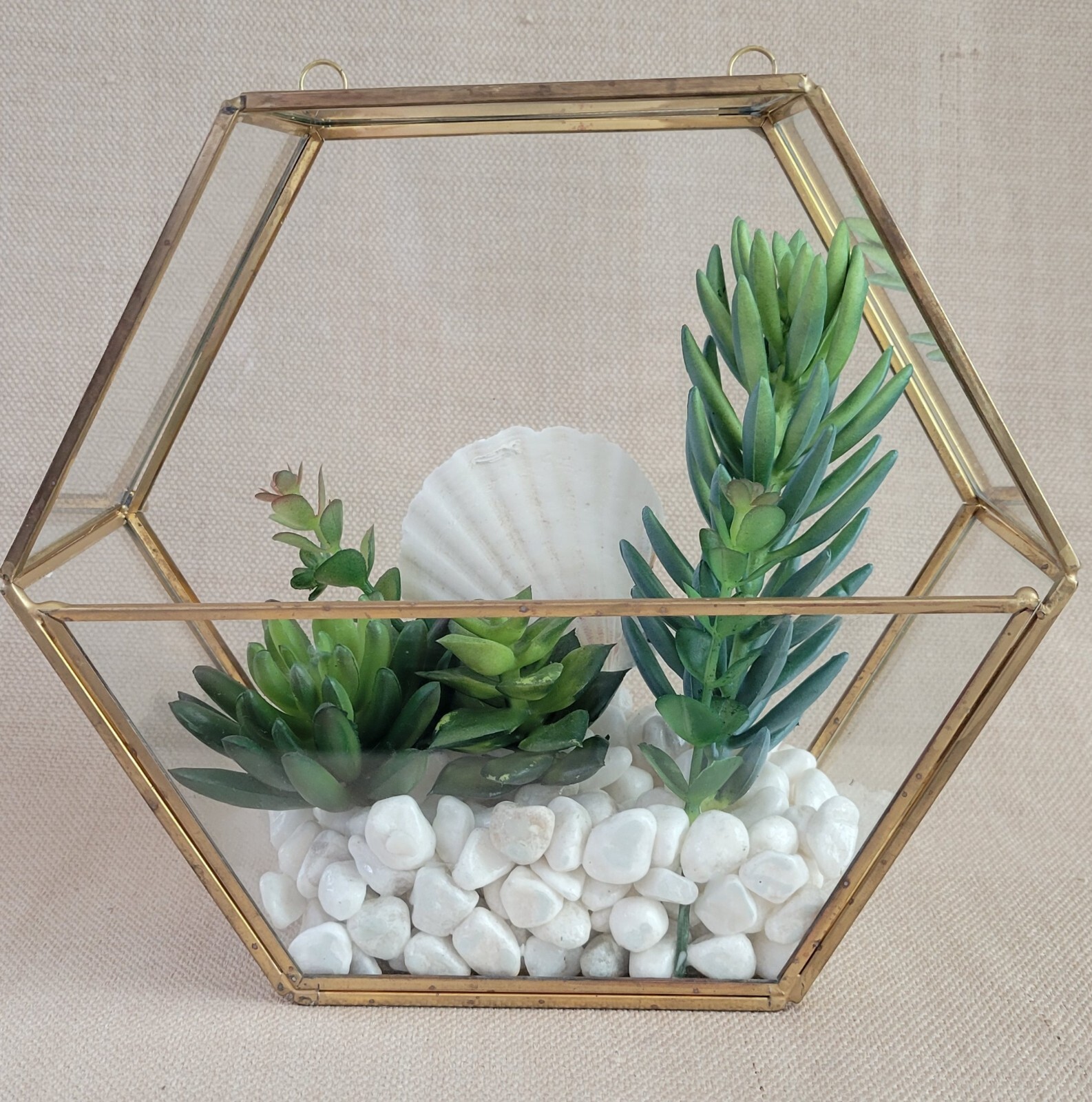 Plant Terrarium Geometric Gold Edge Planter Artificial Succulent Open Side Glass