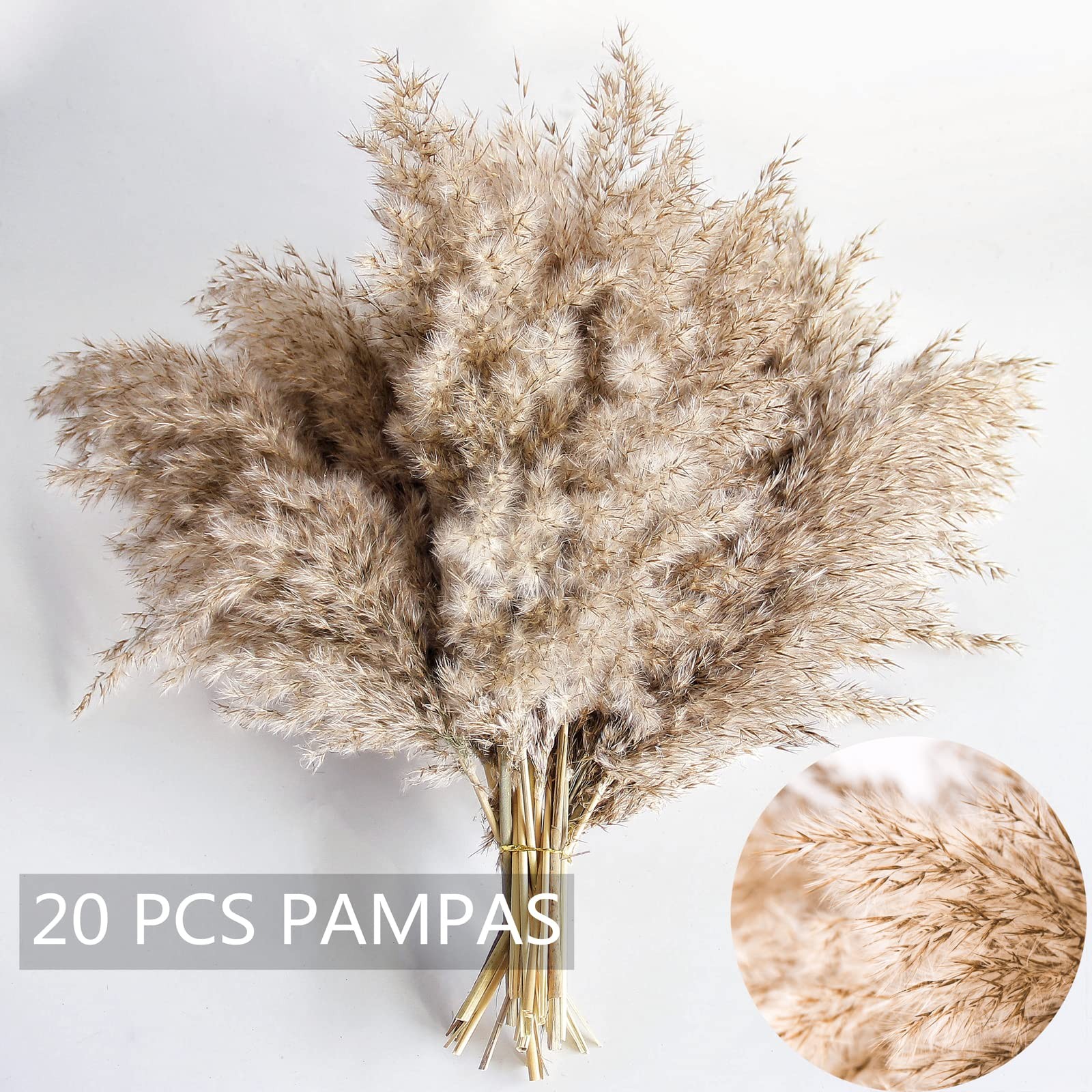 Pampas Grass Decor, Natural Dry Pampas Grass Small, Short Pampass Bulk for Fa…