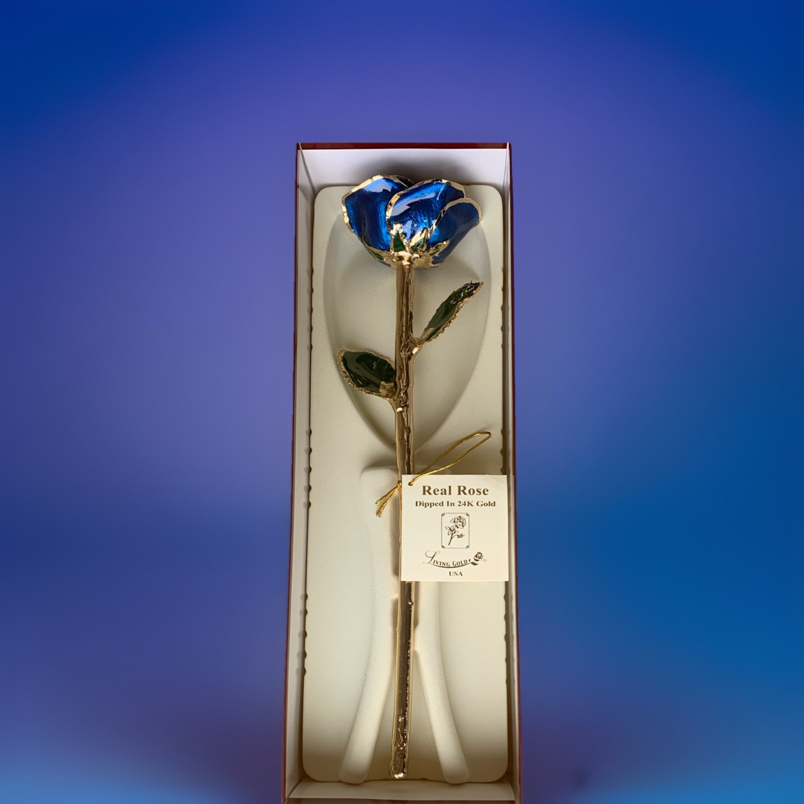 Living Gold Real Rose Dipped in 24K Gold w/ Certificate of Authenticity USA New