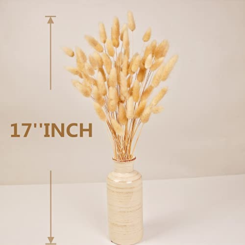 100 PCS Bunny Tails Dried Flowers, Dried Pampas Grass Bouquet, Boho Table Decor,