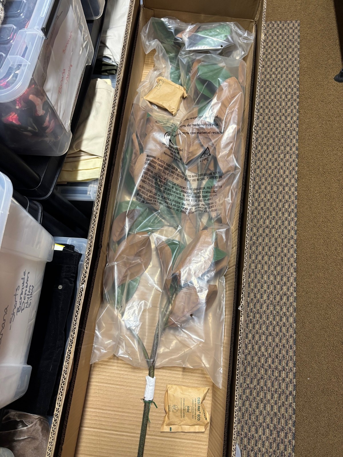 NEW Pottery Barn Faux Oversized Magnolia Branch 57″ Long 50 Leaves NWT