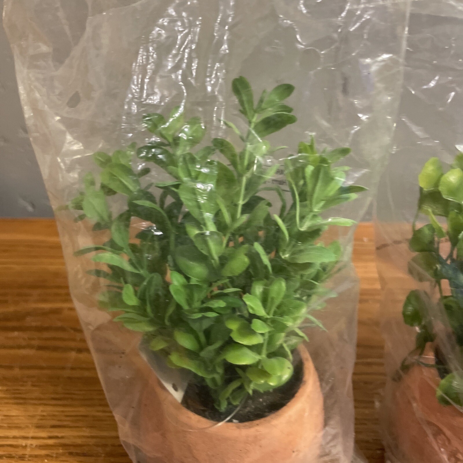 Artificial 8″ Tall Greenery Arrangement House Plants in Pots- Round Set of 3