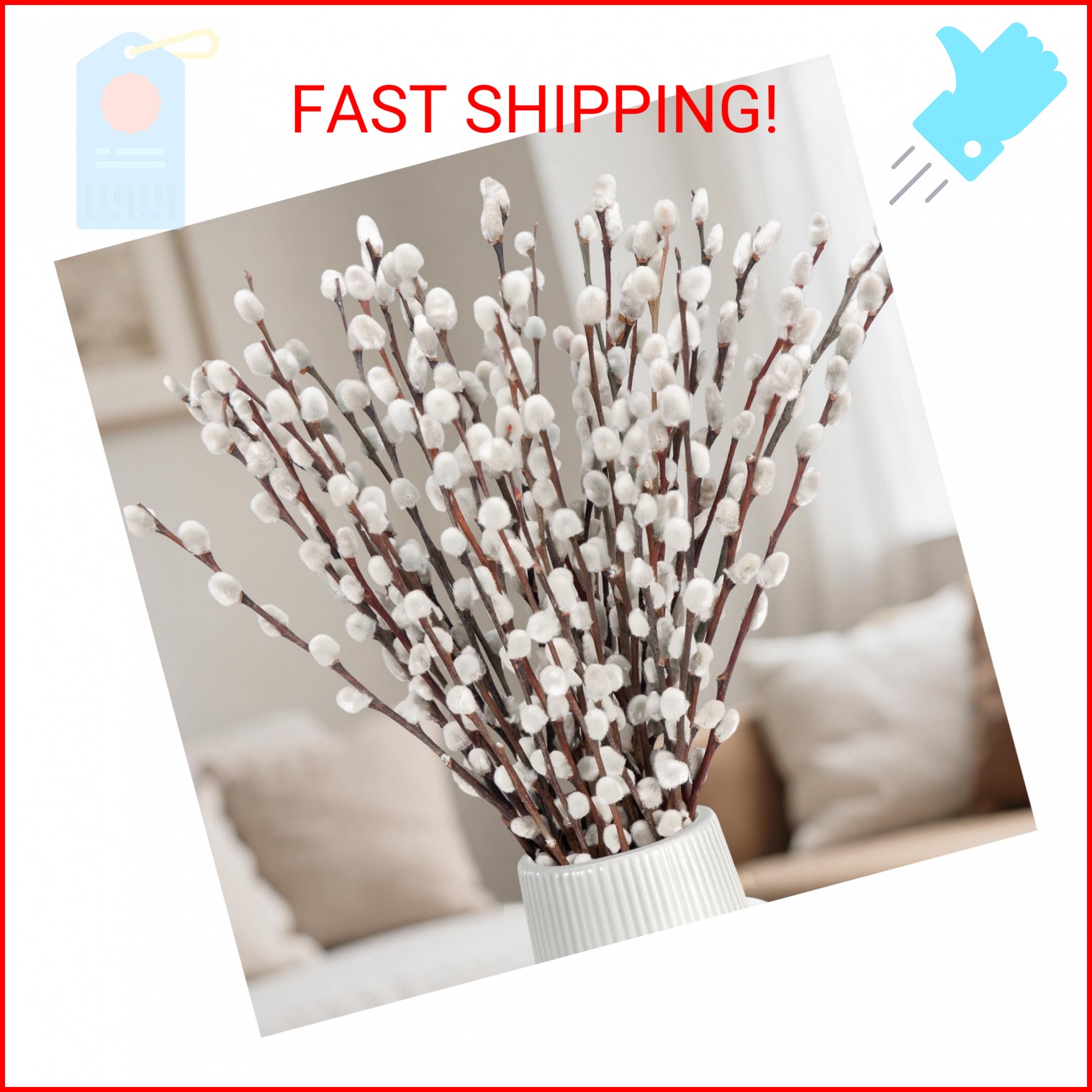 25 Stems Natural Dried Pussywillow Branches for Vases Decor, 15”-17” Real Pres