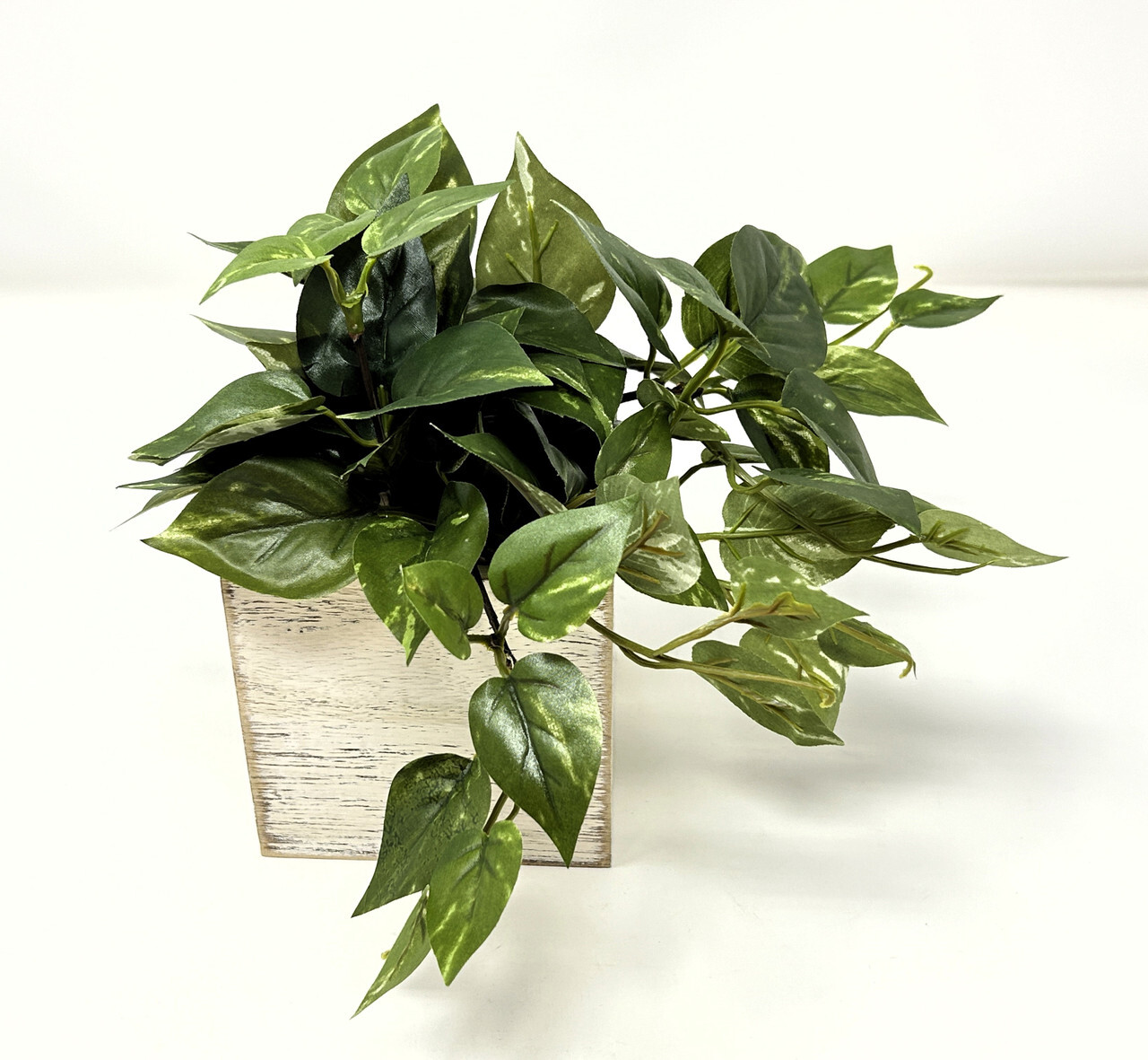 8″ Potted faux Green-White Variegated Pothos Vine Silk plant in White wood box,