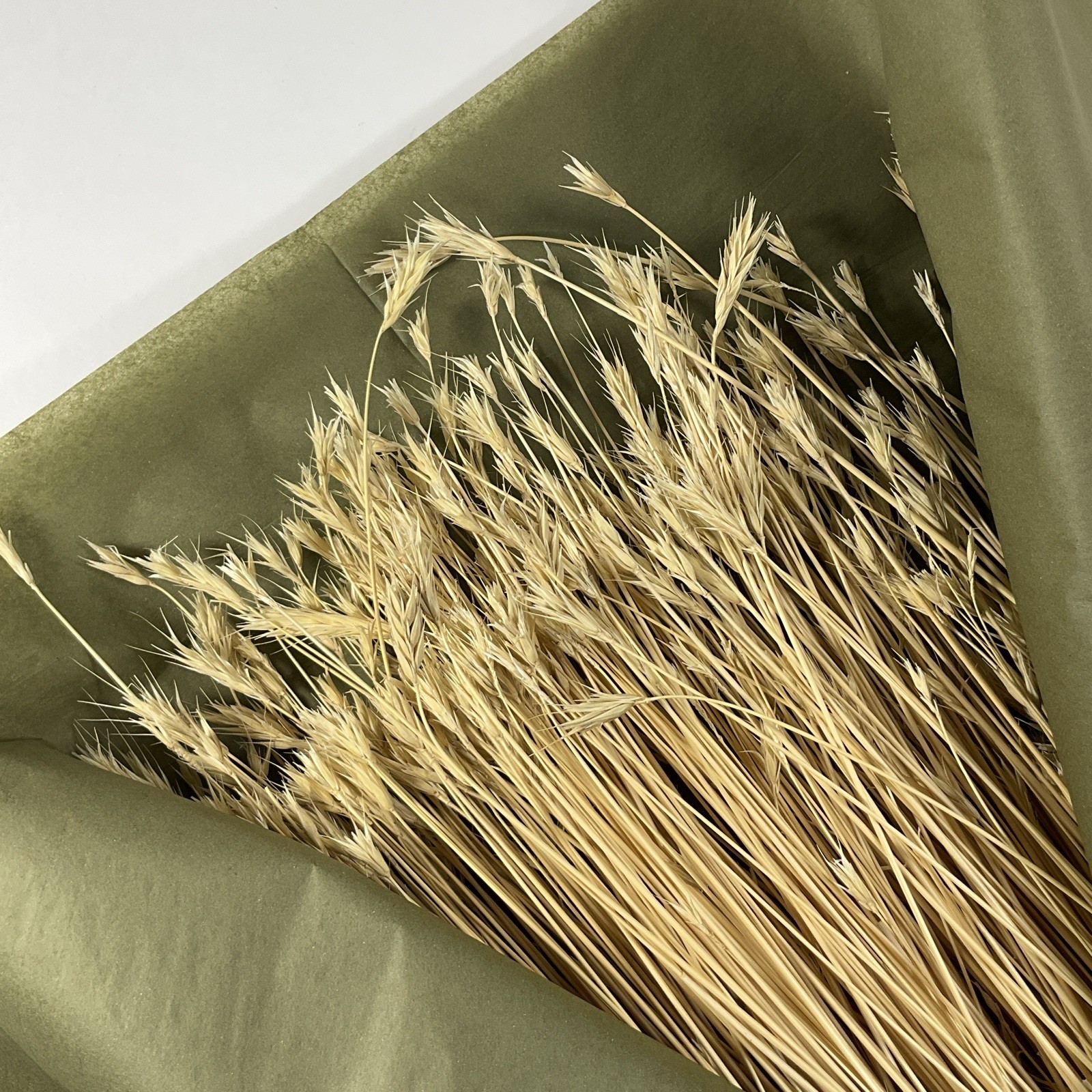 Dried Foxtail Grass Bundle: Rustic Floral Arrangement Supply in Natural Color