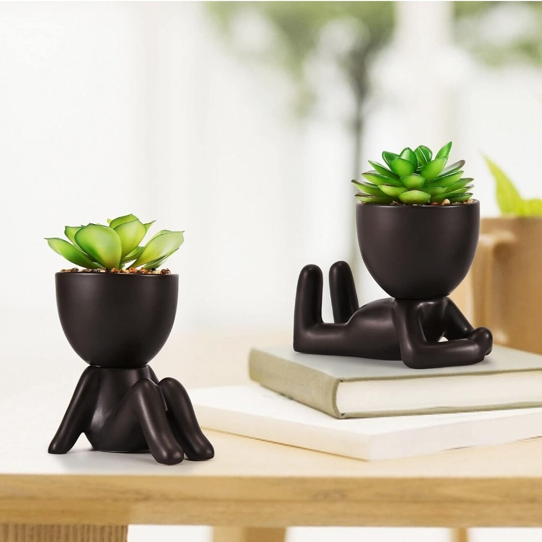 Fake Succulents, Artificial Plants Succulents in Black Modern Human Shaped