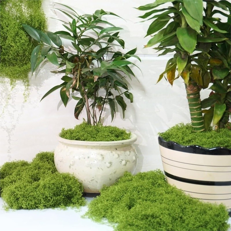 Realistic Fake Green Moss Soft Nylon Indoor Outdoor Decoration Crafting New