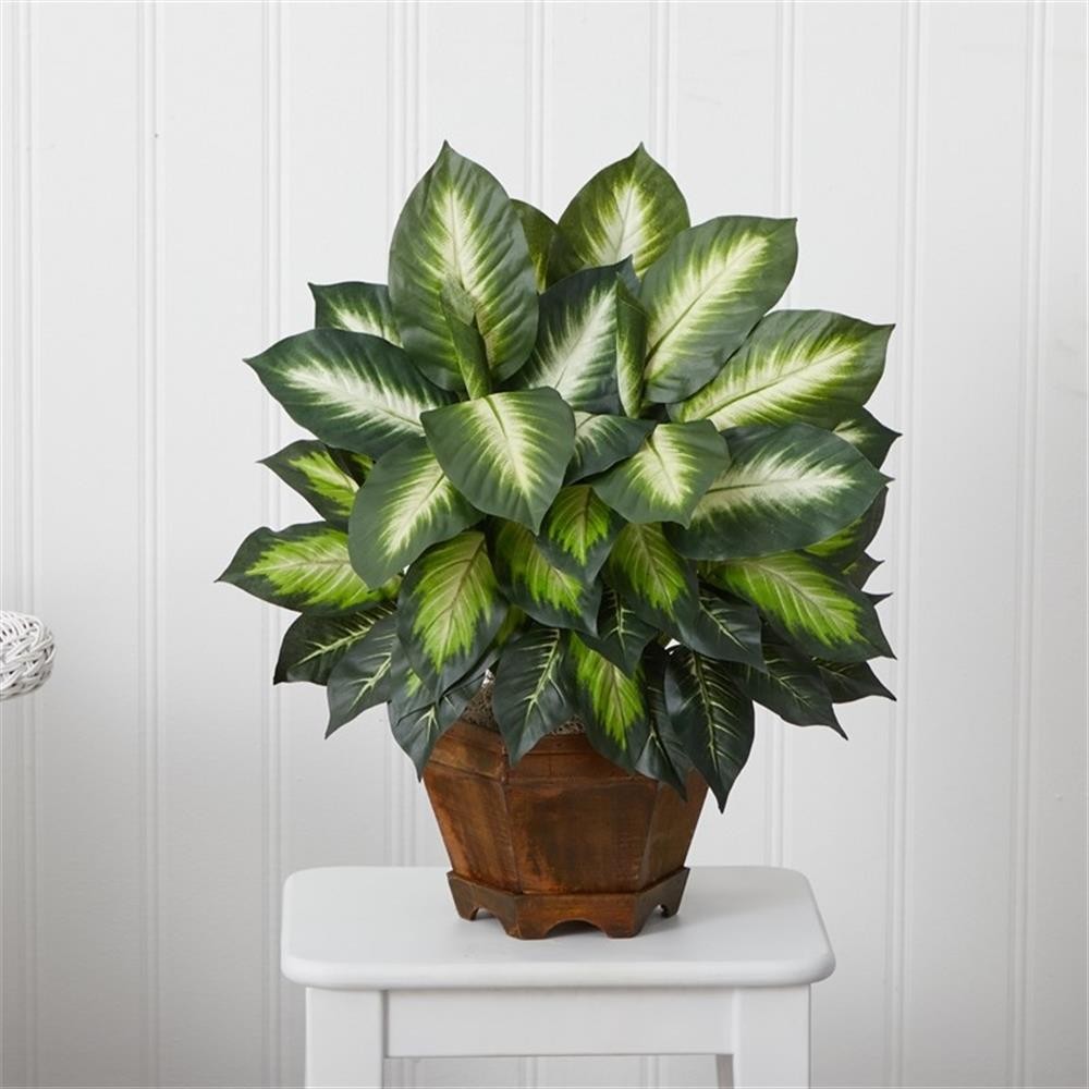 Pemberly Row Triple Golden Dieffenbachia with Wood Vase in Green/Black