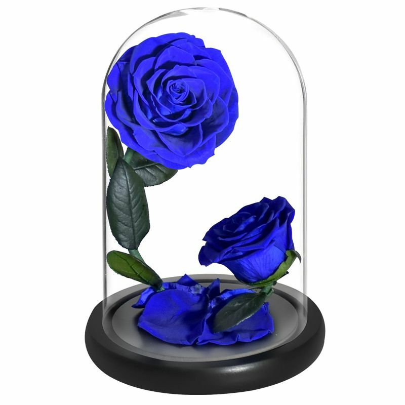 Eternal Flower Rose In Glass Valentine Birthday Wedding Gift For Surprize Womens