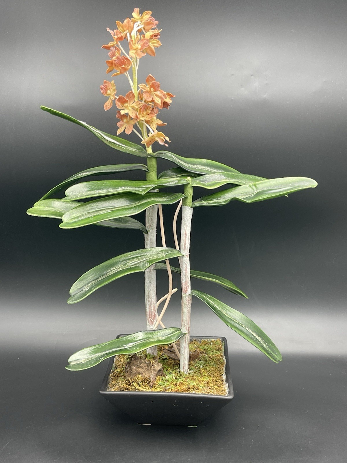 19″ Faux Orange Orchid Green Leaves Roots in Black Ceramic Pot