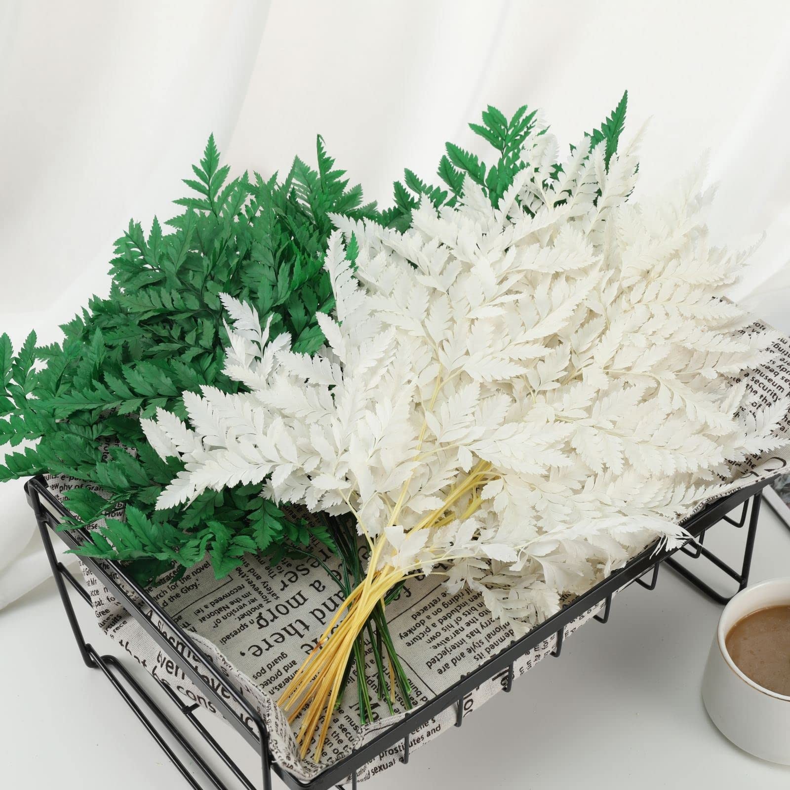 Fern Preserved White Ferns, 10 PCS Dried Boston Fern with Stems, 15” Real Le…