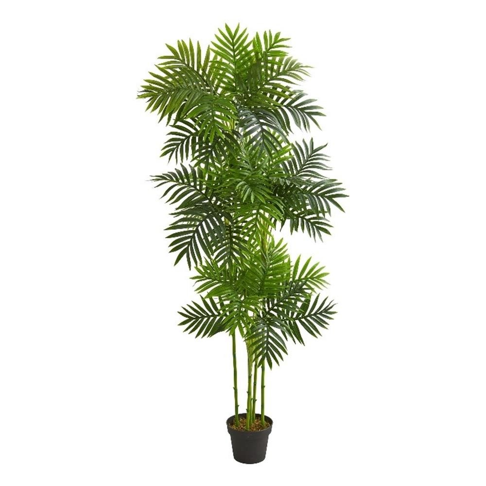 Pemberly Row 72″ Phoenix Palm Artificial Tree in Green/Black