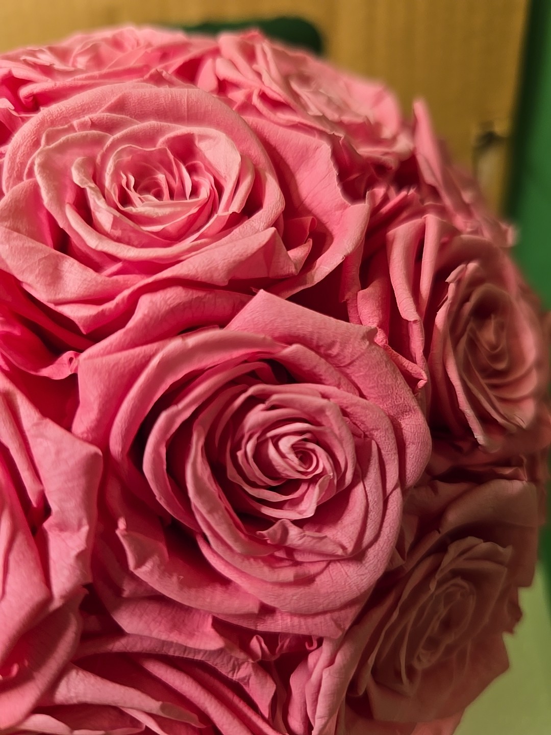 27 Preserved Pink Roses In White Vase, Preserved Flowers Dome Shaped