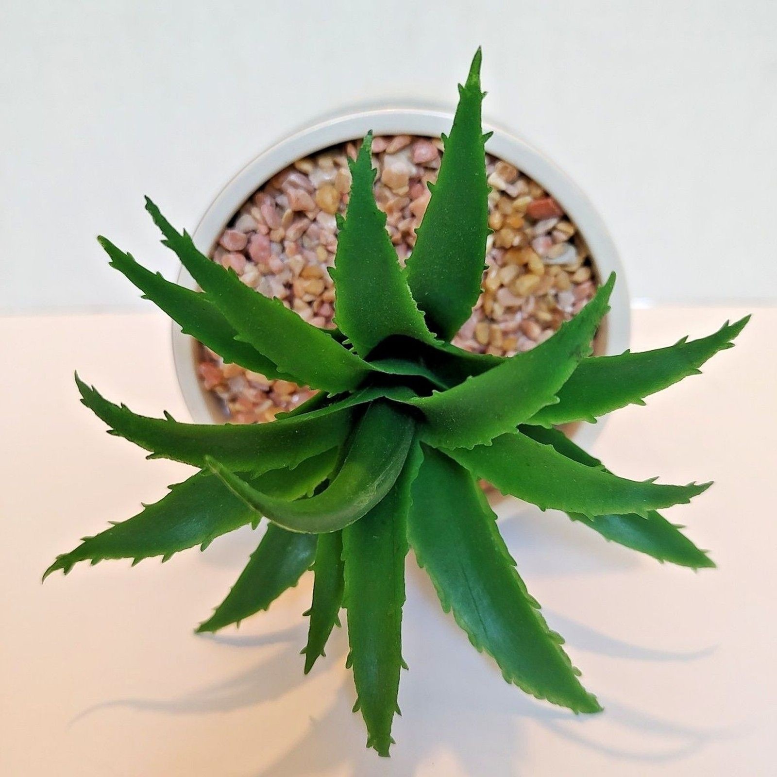 Succulent Flower Arrangement Bouquet Centerpiece Blue White Green Pink Ceramic