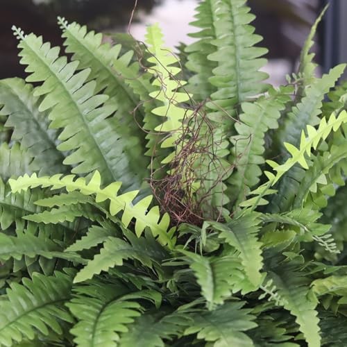 Artificial Ferns for Outdoors & Indoors, 51in Fake Fern Large Plants with 66