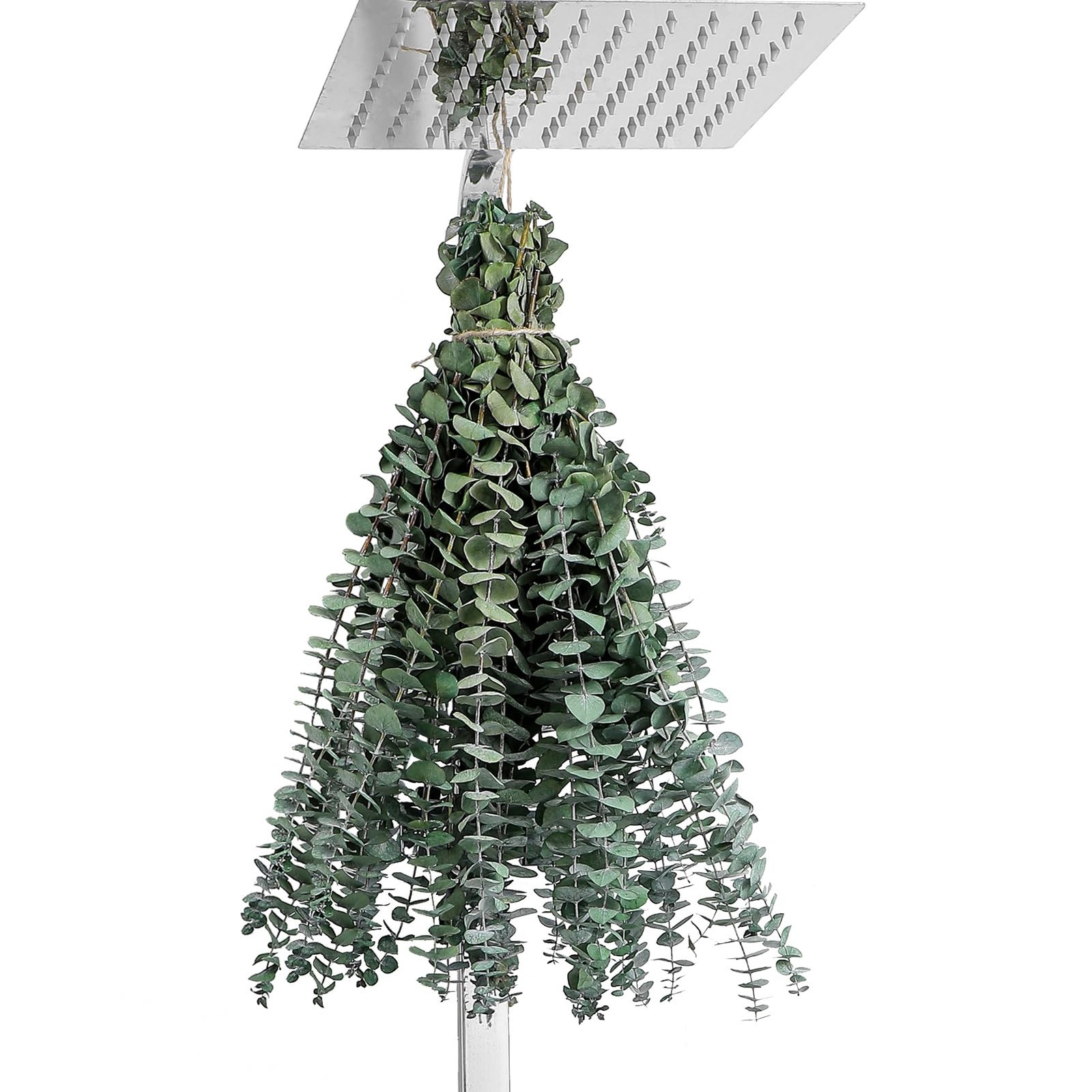 12 Pcs Eucalyptus for Shower Hanging 17″ Real Eucalyptus Stems 100% Made from…