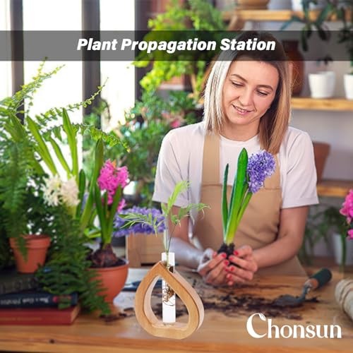 Propagation Stations Planter Terrariums Wall Hanging Test Tube Desk 5.3*5.9IN