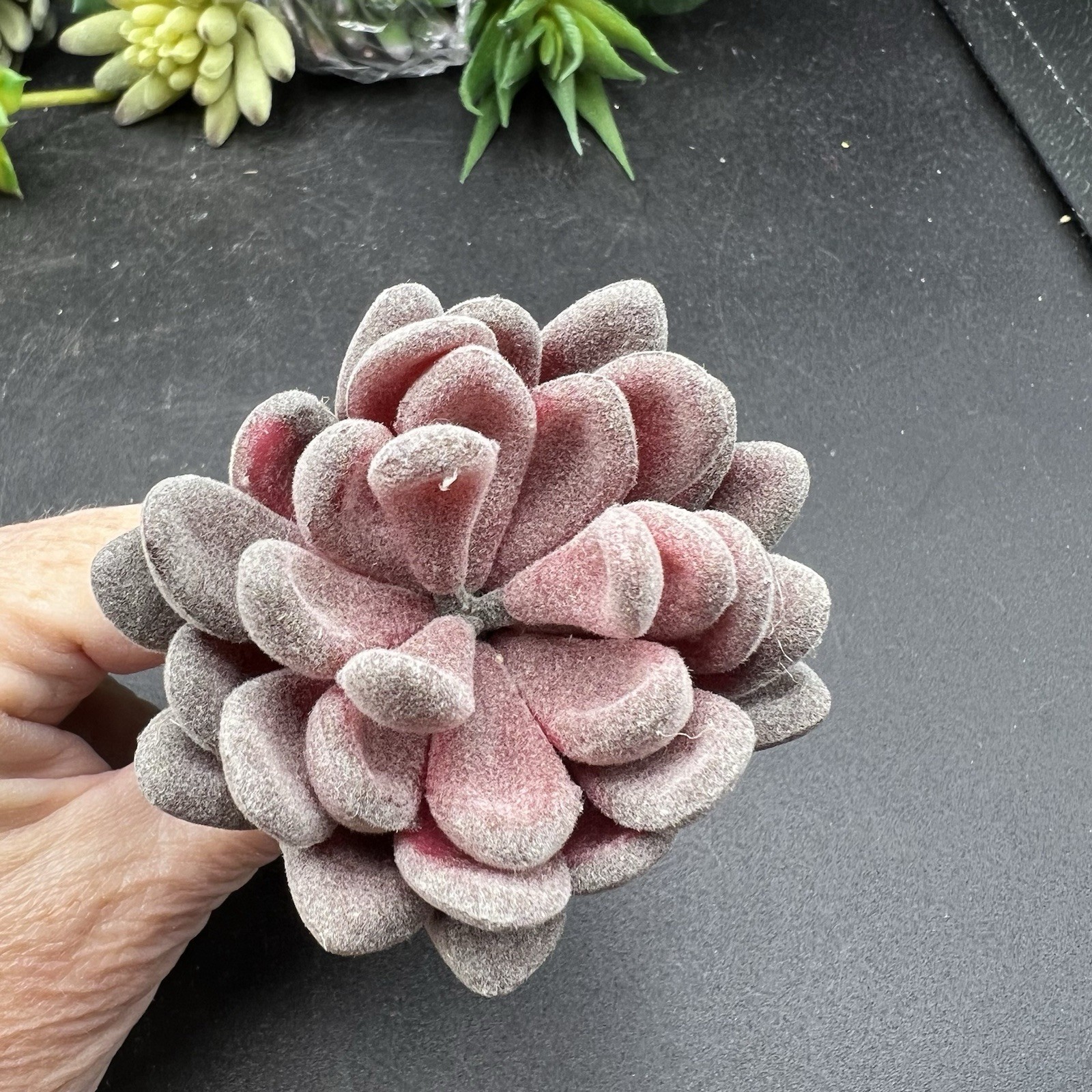 Artificial Succulent Plants Faux Assorted- 16 pc Unpotted Faux Succulent Plants