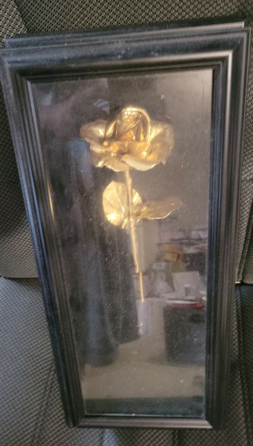Real 24 Karat Gold Dipped American Rose Valentines mothers day gift