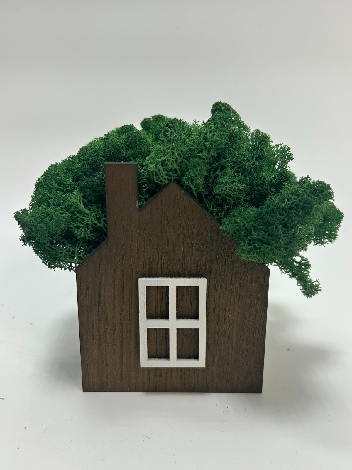 Handmade Wooden Moss House | Natural Eco Home Decor | Stabilized Moss Mini House