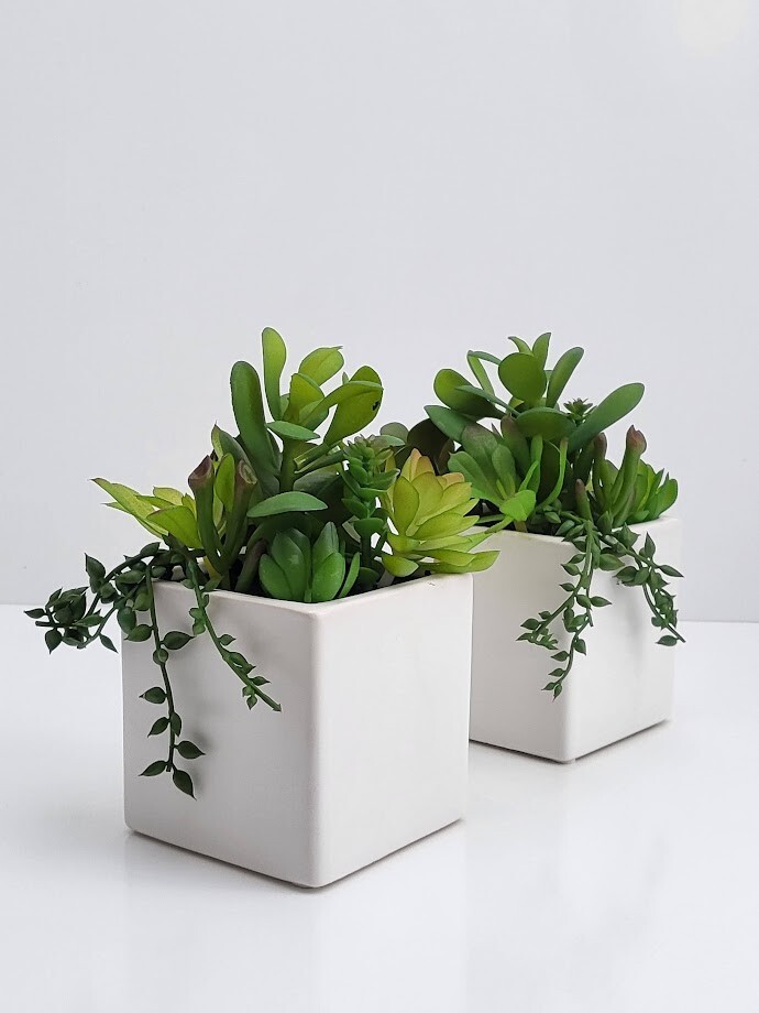 2-Pack Cactus Artificial Succulent Fake Plants Ceramic White Planter Pot 4x4x7