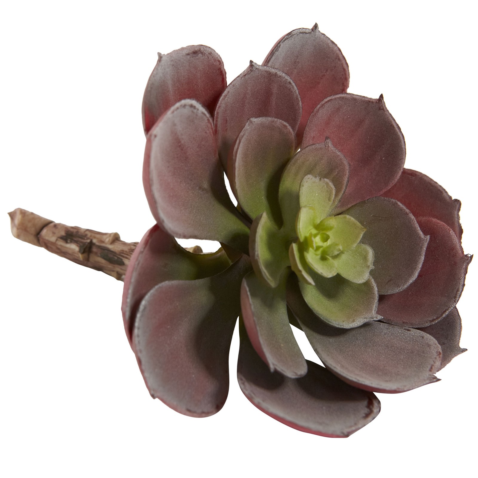 Echeveria Succulent Plant Burgundy Set Of 12 Nearly Natural 6” Realistic Decor