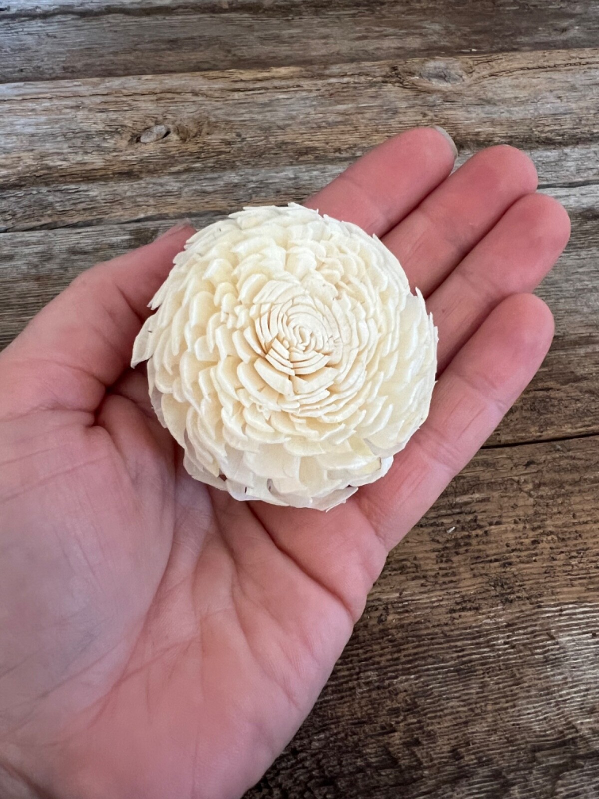 Chorki Belly Sola Wood Flowers – Set of 50 – Craft Flowers