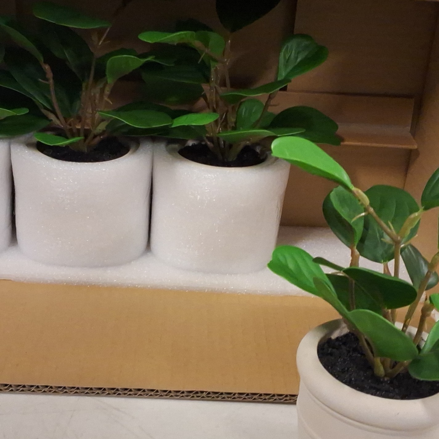 4 × Target Brands Artificial Mini Plant in White Pot Plastic Houseplant