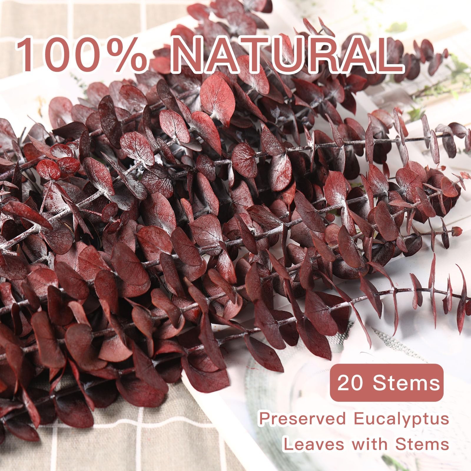 20 Pcs Dried Eucalyptus Stems, 17” Natural Real Live Red Eucalyptus Leaves B…