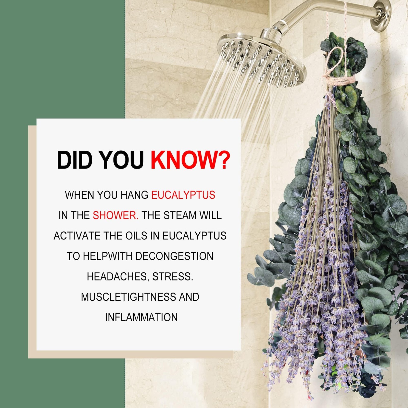 115 Pcs Dried Eucalyptus Stems & Lavenders Flowers Bundles for Shower, 17”