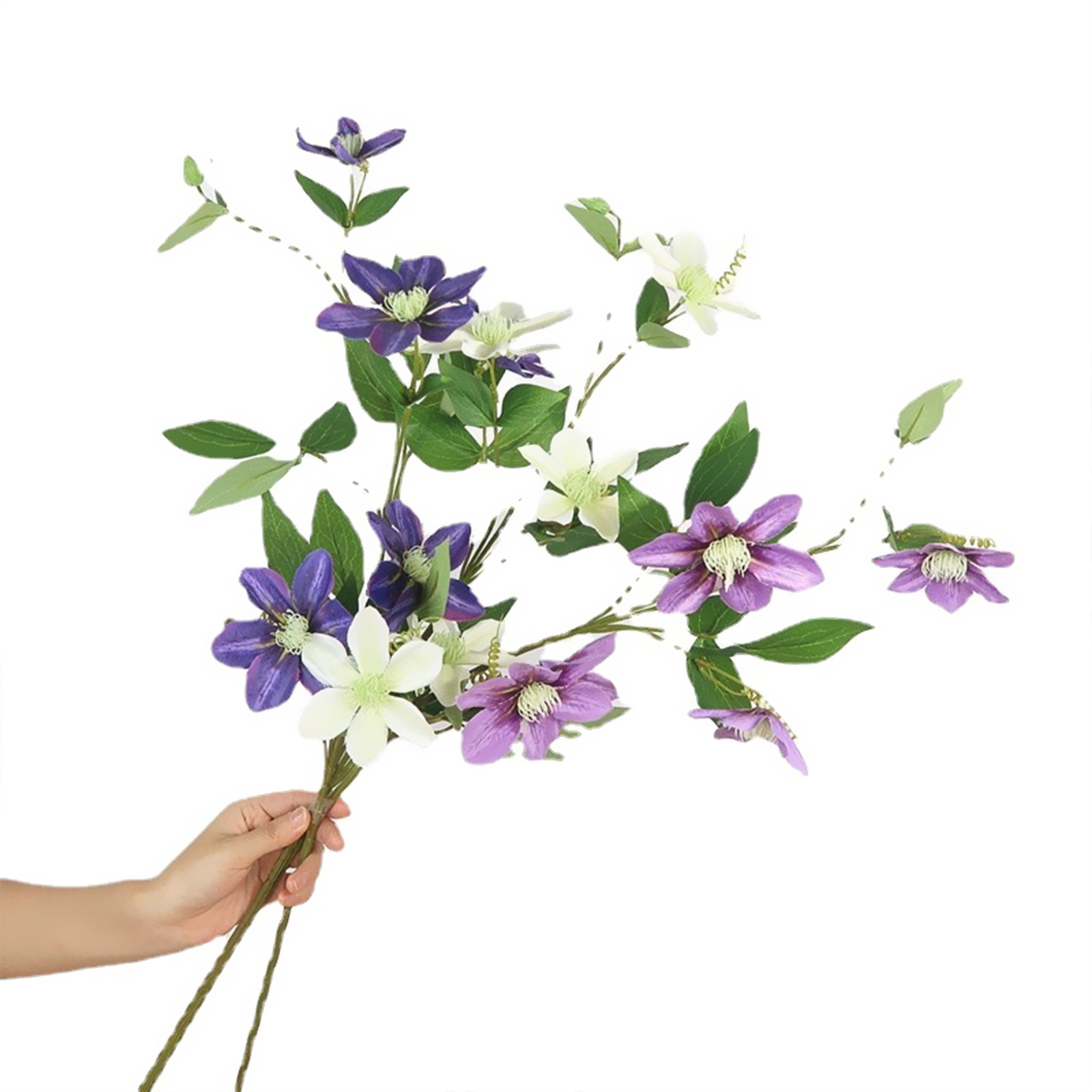 New European-style 5-headed Clematis – Deep Purple 85cm Tall Per Stem HOT