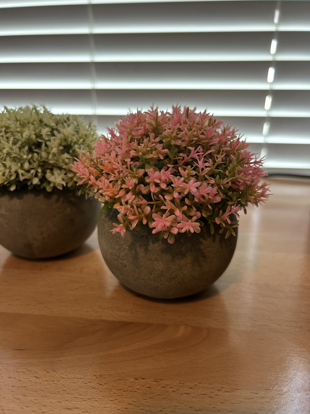 Faux Artificial Plants Clay Stoneware Pots Set Of 4 Multicolor 5 in. Decorative