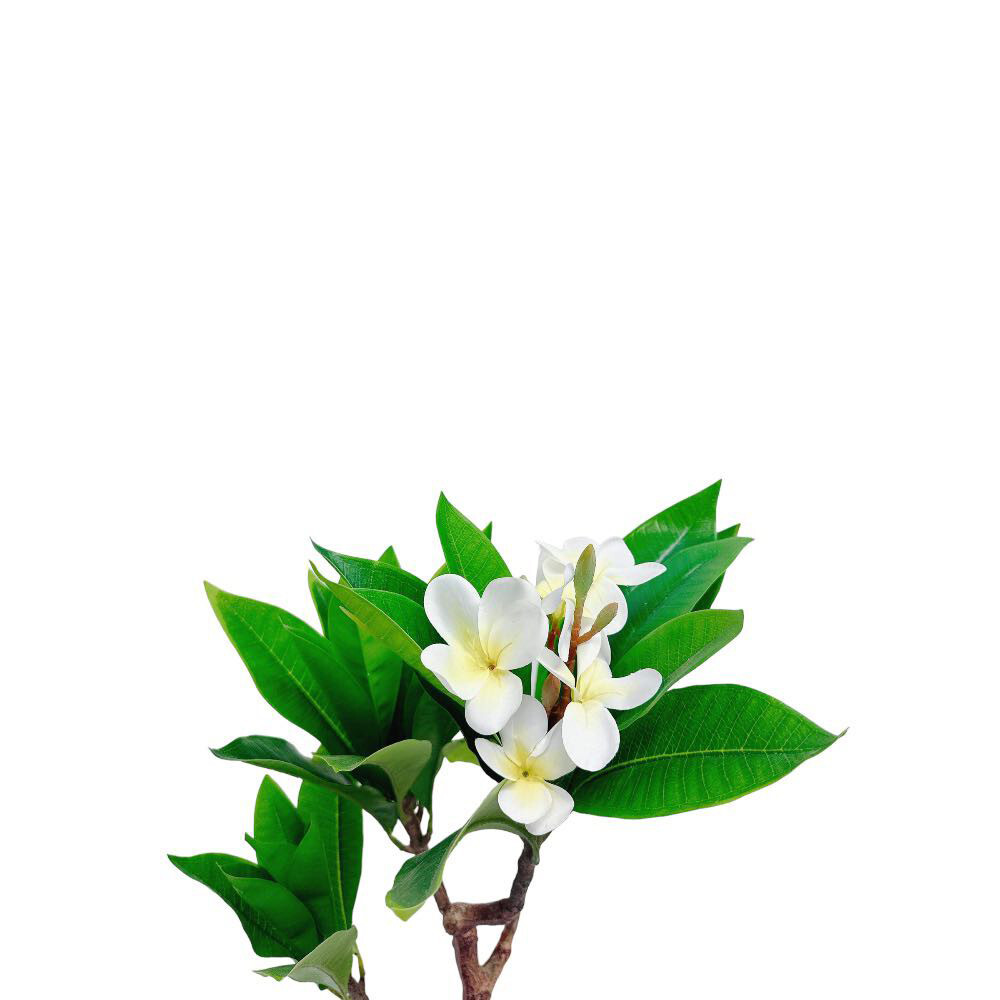 2.25 Ft Cream Fuchsia Artificial Plumeria Flower Tree for Indoor Outdoor Garden