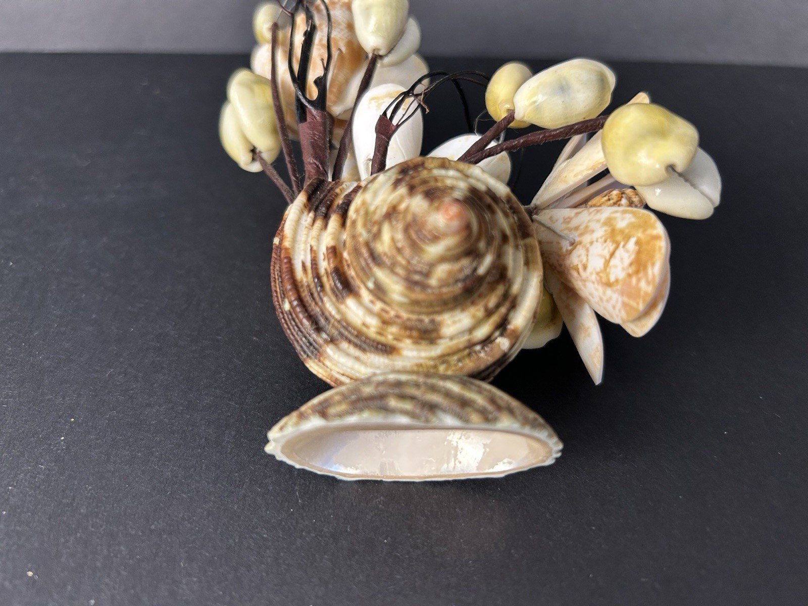 Vintage Cottagecore Kitschy Hand Made Sea Shell Floral Arrangement 6”x4”