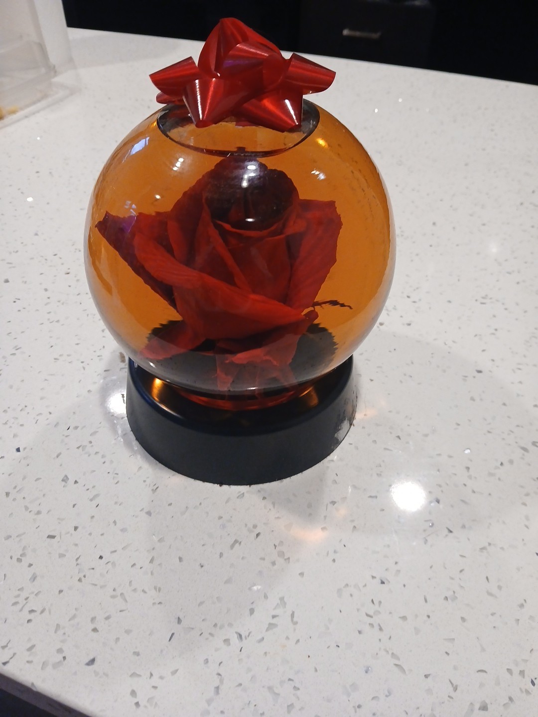 Forever Pink ROSE In Glass Ball Water Dome Globe Large Real Rose 6×6 in.