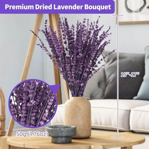 Dried Lavender Flowers Bouquet 15-17 inch Purple Bundle Preserved Aromatherapy D