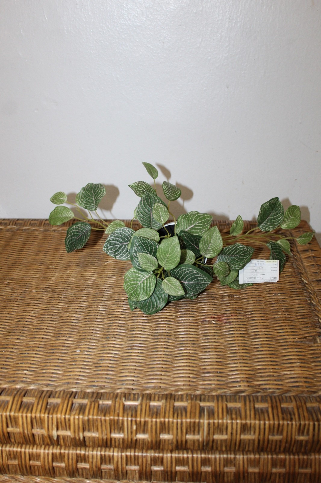 Williams Sonoma Artificial Potted Mosaic Leaf Plant