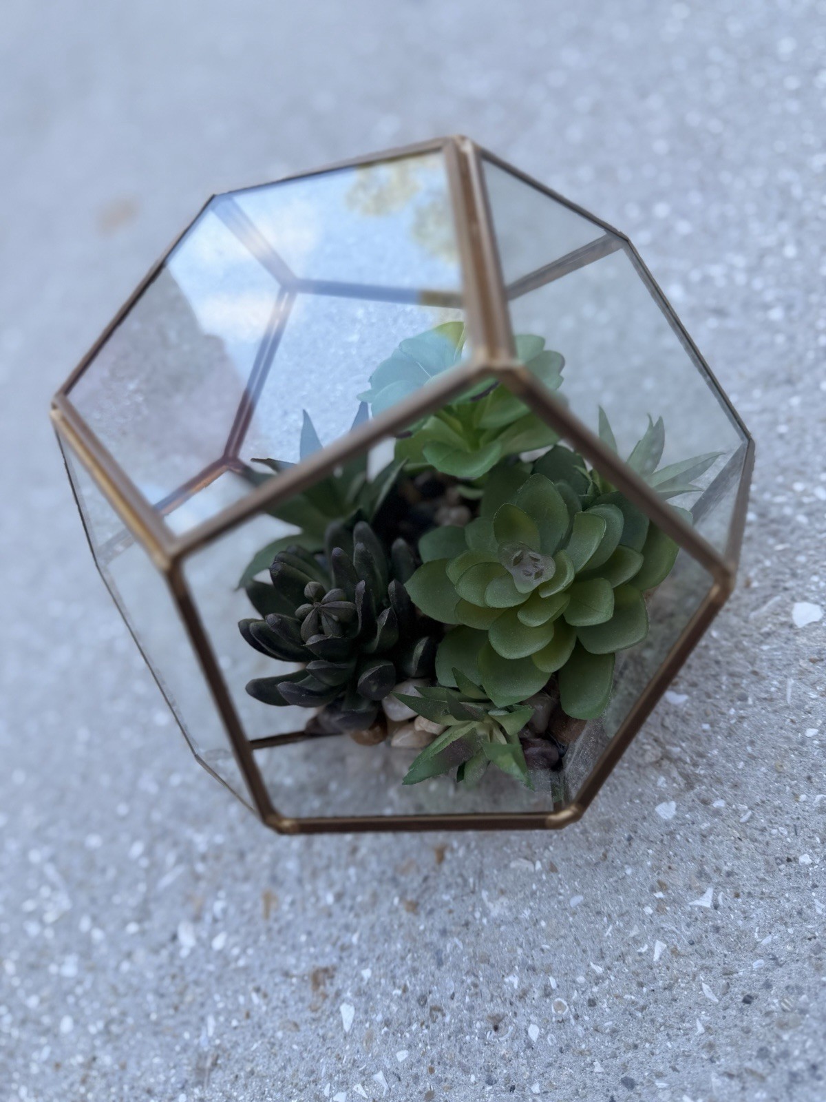Geometric Glass Terrarium Decor with Faux Succulents & Gold Metal Frame