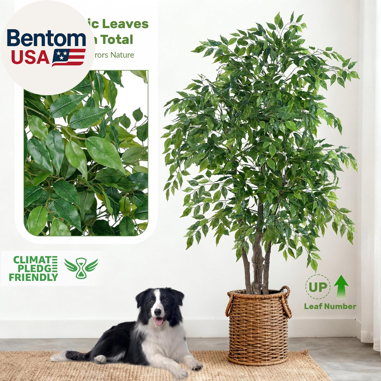 Ficus Tree Artificial with Triple Trunks, 5.5Ft Fake Ficus Tree in Black Pot, Ta