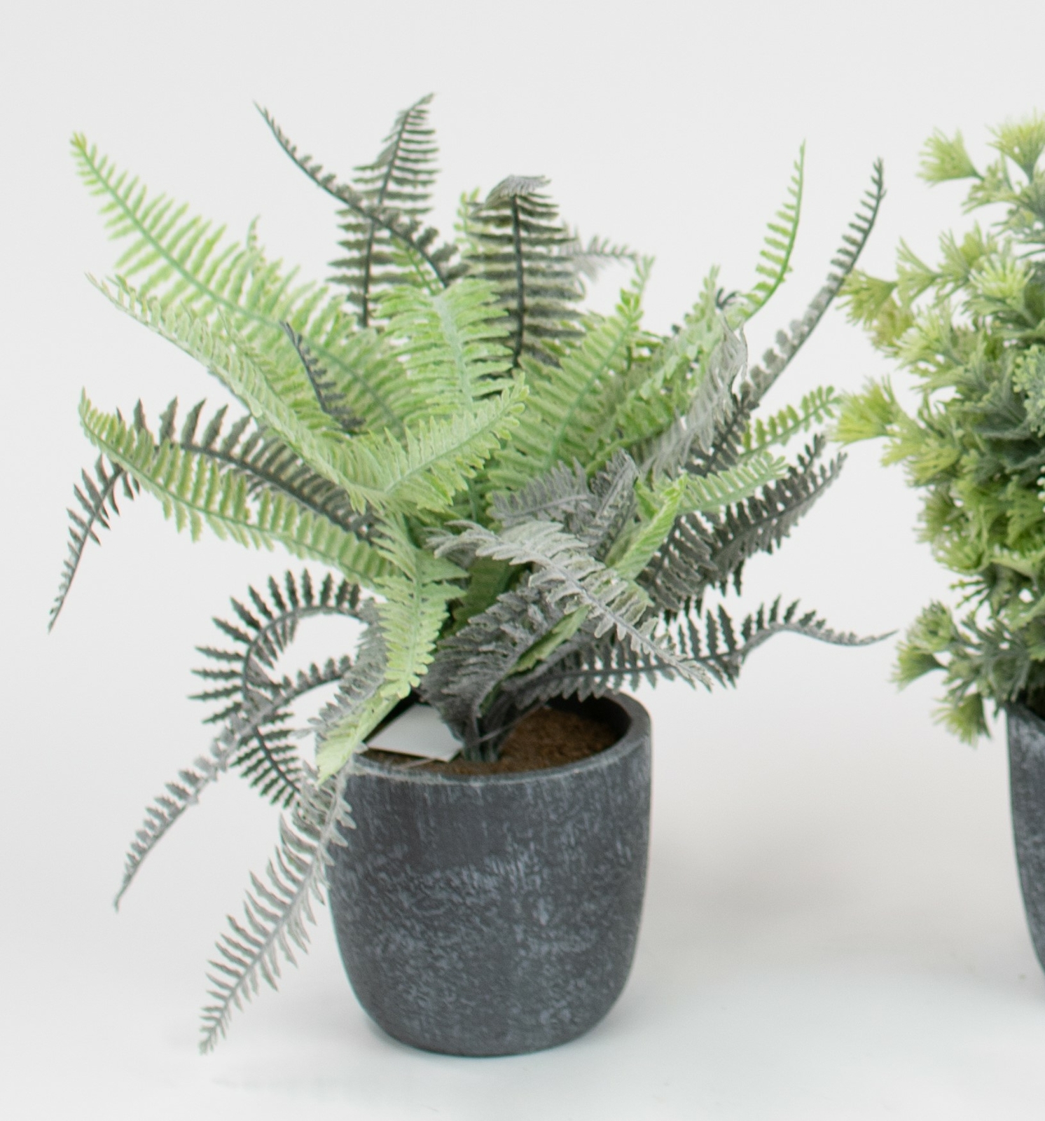 Elegant Fern Leaves Green Set Three Faux Floral Round Gray Pots