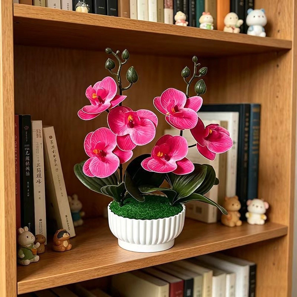 Phalaenopsis Orchid Simulation with Shell Shaped Pot for Home Office Use