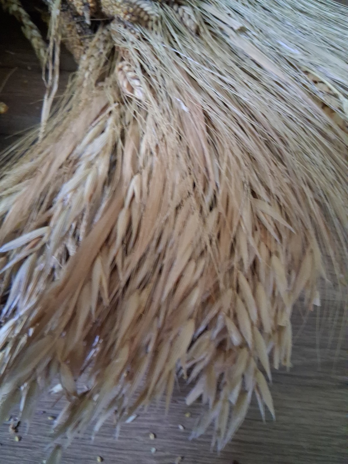 Natural Dried Flower/Wheat Wreath 15″ – Wall Or Door Decor And Wheat Stalks