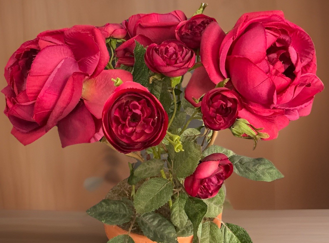 Realistic Artificial Camellia Red Roses Floral Arrangement Terracotta Pot 15’’