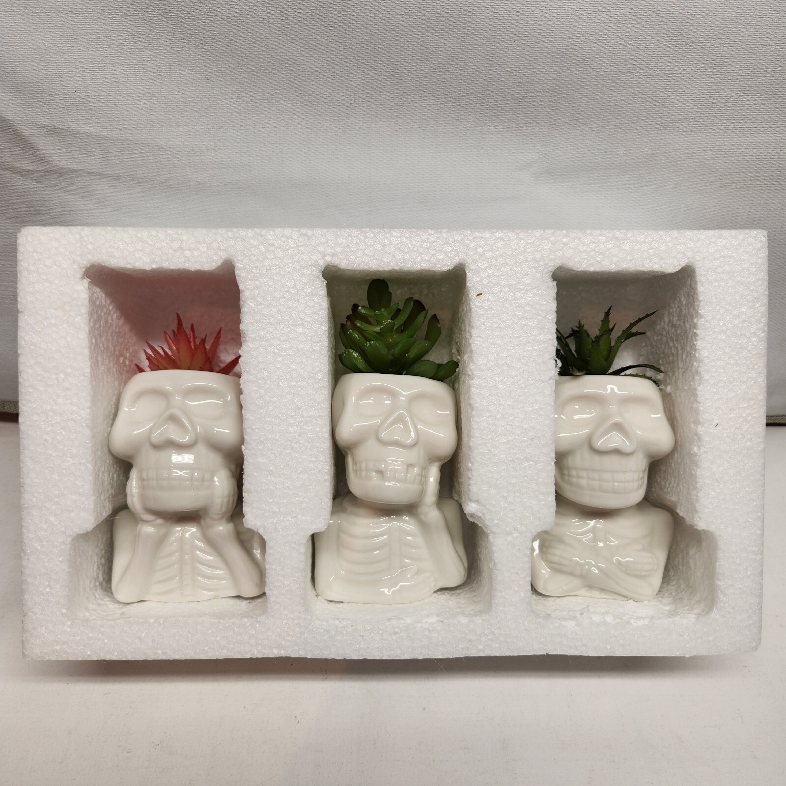 unique ceramic skull Faux planters glossy white finish playful skeleton design